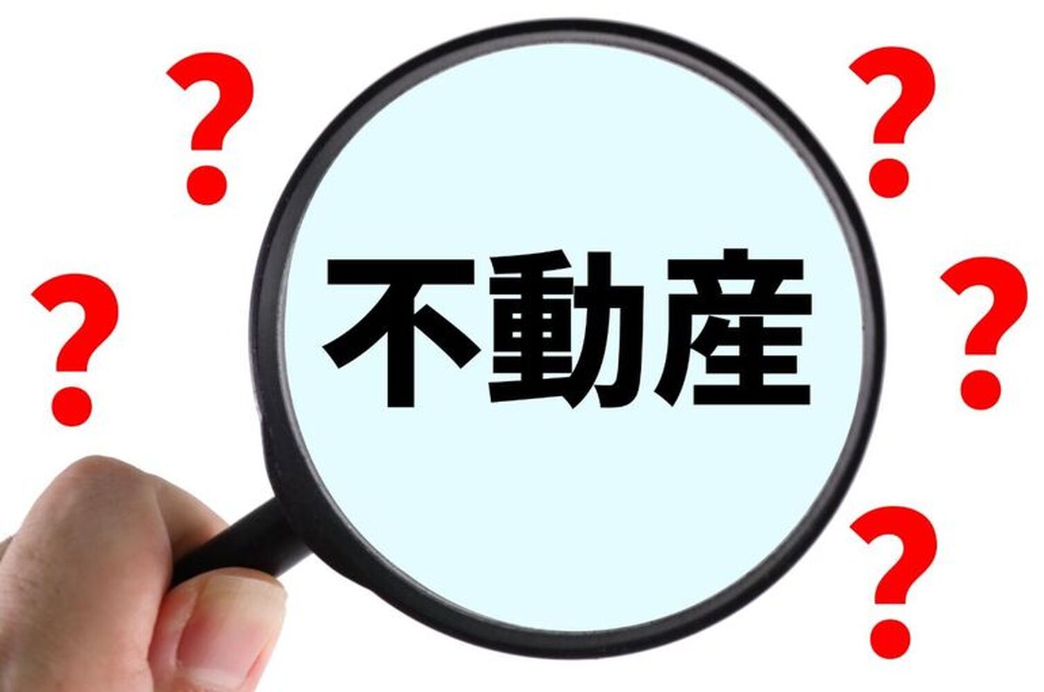画像1429