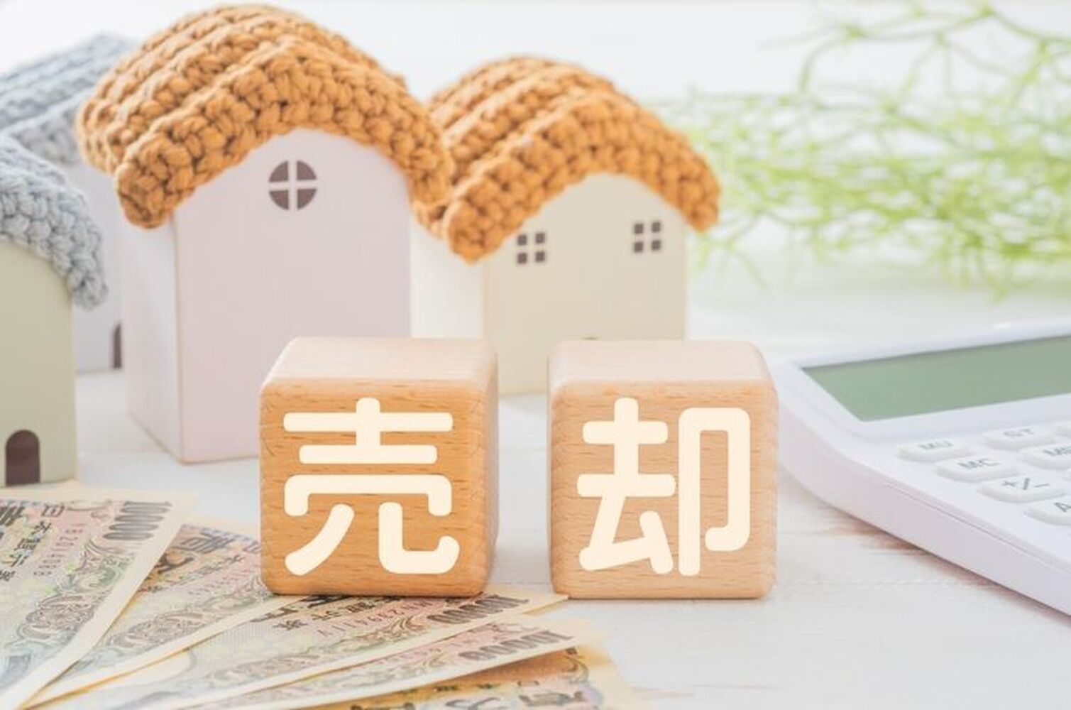 画像1441